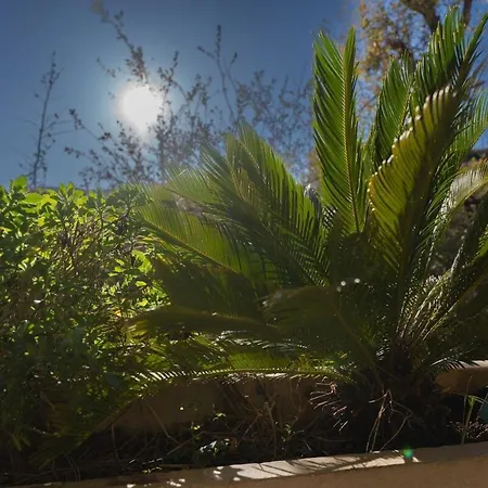 Le Botanique Nizza