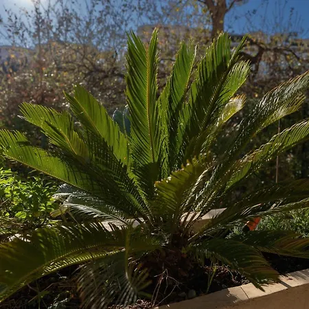 Le Botanique