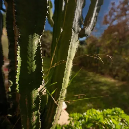 Le Botanique شقة