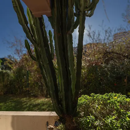 Le Botanique شقة نيس